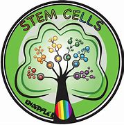 Image result for Stem Cell Symbol