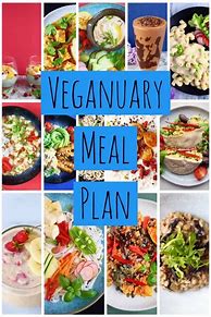 Image result for Healthy Vegan Diet Plan