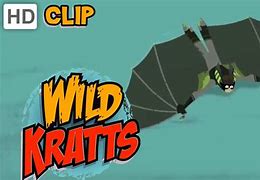 Image result for Wild Kratts Bat