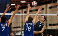 Image result for Volleyball Action Shots