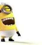 Image result for Minion Daily Memes