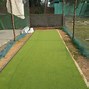 Image result for Wearing a Cricket Box