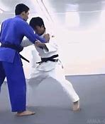 Image result for Judo Uniform