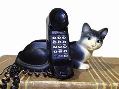 Image result for 1960s Wall Cat Phone