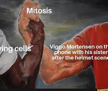 Image result for After Mitosis Meme