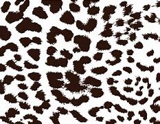 Image result for Cheetah Skin Print