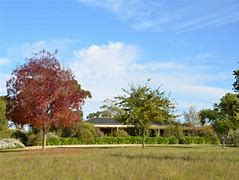 Image result for Kangarilla Road Montepulciano Brierly