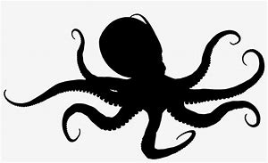 Image result for Octopus Silhouette From Above