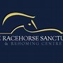 Image result for Racehorse Trainer