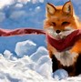 Image result for Cool Wallpaper Silver Fox