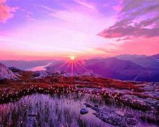 Image result for MacBook Purple Mountain