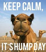 Image result for Keep Calm Hump Day