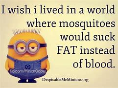 Image result for minion sayings funny