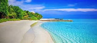 Image result for Pixabay Free Images Beach
