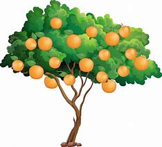 Image result for Orange Fruit Tree Clip Art