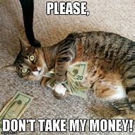 Image result for Money Cat Meme