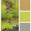 Image result for Japan Color Palette