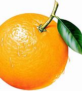 Image result for Orange Fruit in a Jail Cell