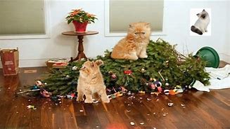 Image result for Christmas Tree Fails