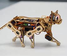 Image result for Nybble Cat