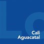 Image result for aguacayal