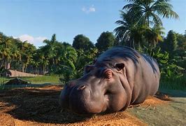 Image result for Planet Zoo Gameplay