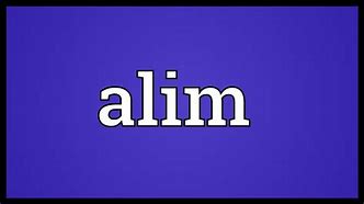 Image result for alims�a