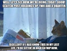 Image result for Smart Cat Meme