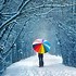 Image result for Free Winter Wallpaper 800X600