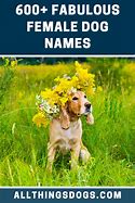 Image result for Top Female Dog Names