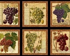 Image result for Vineyard Vines Fabric
