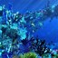 Image result for Underwater Wallpaper 3840X1080