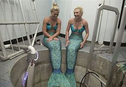 Image result for How to Become a Real Mermaid