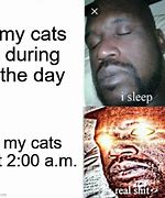 Image result for shaquille and cats memes