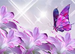 Image result for Pink Purple Butterfly Desktop