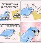 Image result for Wholesome Bird Memes