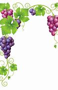 Image result for Grape Vine Supprort Post