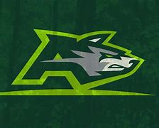 Image result for Spring Football League