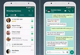Image result for Whats App Bussiness iPhone Screen Shot