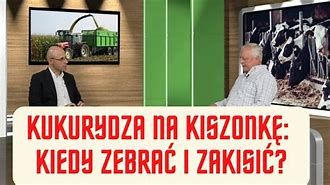 Image result for co_to_za_zawisza_z_kurozwęk