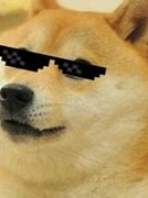 Image result for Thug Life Dog Meme