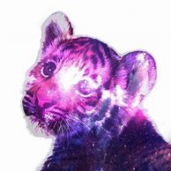 Image result for Cute Galaxy Tigerbackground
