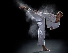 Image result for Aliveness Martial Arts