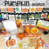 Image result for Pumpkin Science Preschool