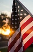 Image result for American Flag Portrait