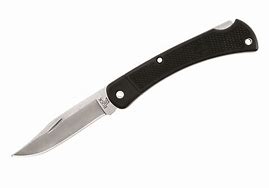Image result for Buck Knives 110 Folding Hunter