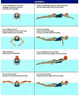 Image result for Swimming Strokes Types