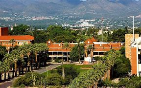 Image result for Tucson University
