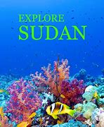 Image result for Sudan Soda