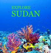 Image result for Sudan Soda